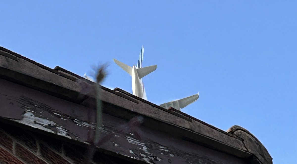 When yr having a bq and a plane nearly joins you 😳#unitedemirates