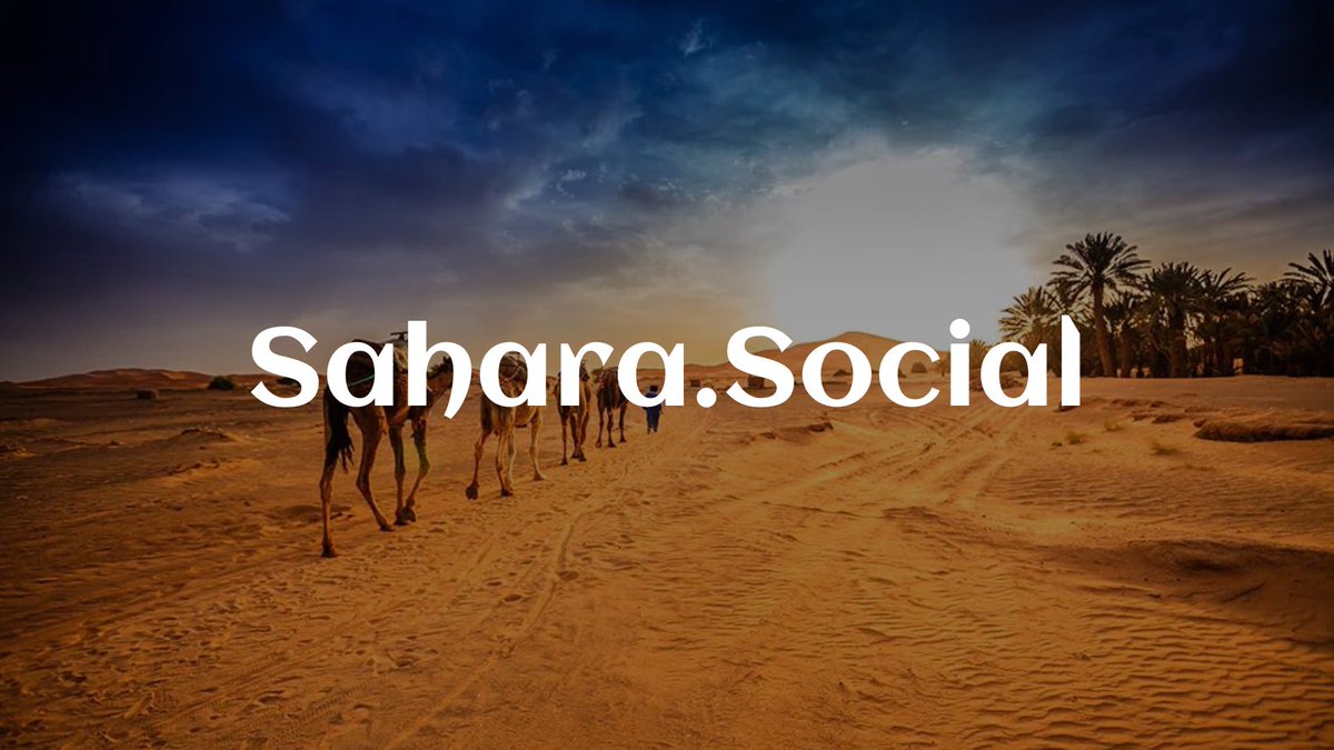 Sahara.social 🏜️ tweet media