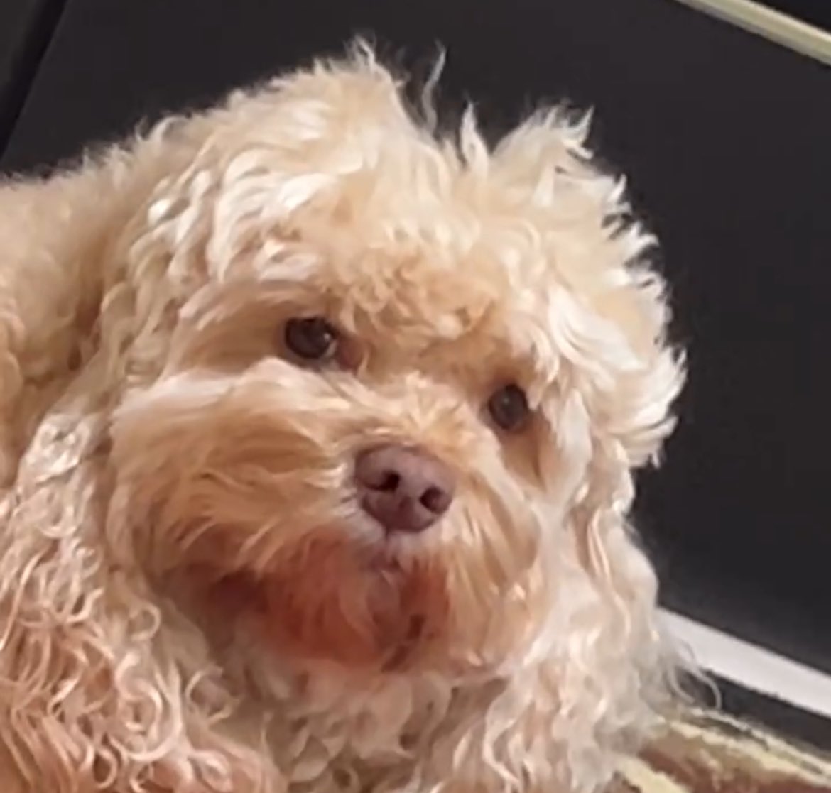 No escuchaste la canción que te mandé