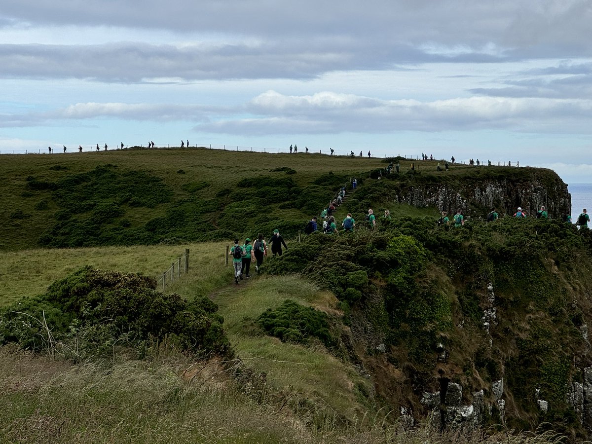 Mark Ward tweet media