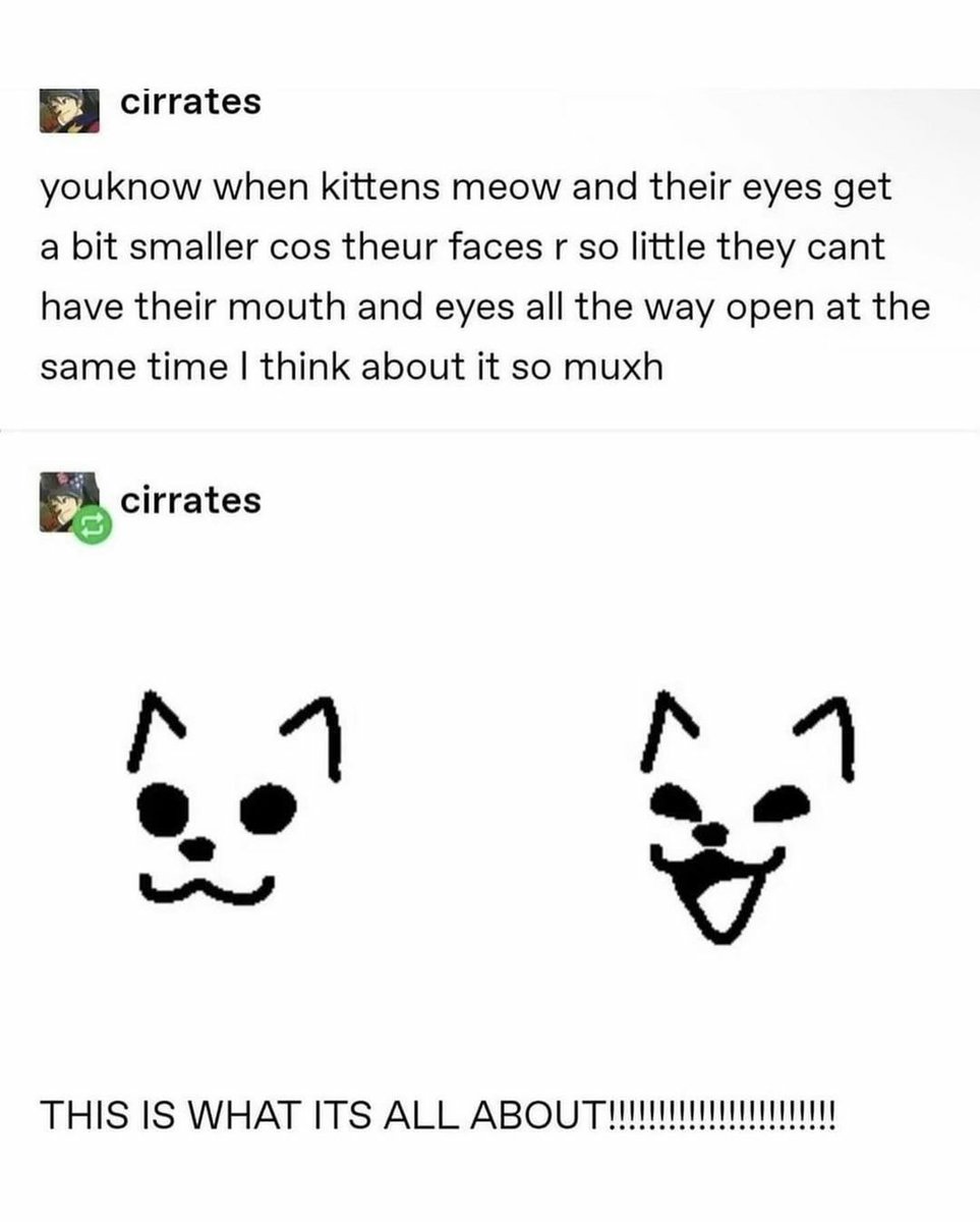 catshealdeprsn's tweet image. 