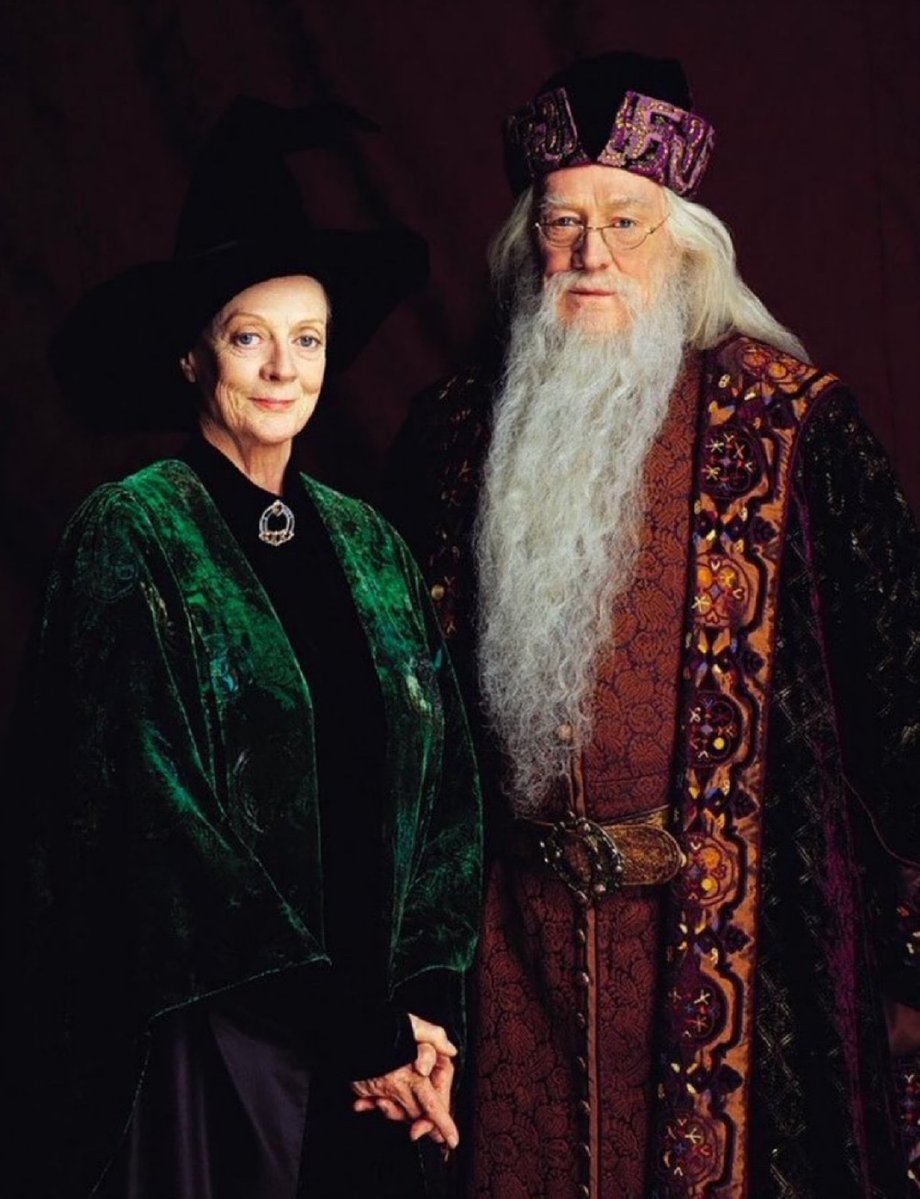 Legendary Hogwarts staff 🔥