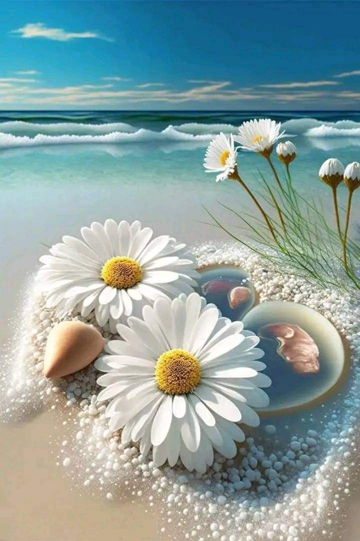 Aaira (@aar_005) on Twitter photo 🕊️🄵🄾🄻🄻🄾🅆🕊️
#X_promo
🕸️𝙍𝙏𝙂2🕸️
🩵<a href="/IK151/">𝕊ʜᴇʀᴅɪʟ 🇵🇰 IK</a>🩵
<a href="/M_Sial6/">Maria Sial</a>
<a href="/hmb_16/">HINA SULEMAN</a>
<a href="/Iqb9786/">ℨ𝔢𝔢𝔰𝔥𝔞𝔫 𝔦𝔮𝔟𝔞𝔩 𝔥𝔲𝔰𝔰𝔞𝔦𝔫</a>
<a href="/Asjk2/">Muhammad Junaid Anwar</a>🪩@zzb_15
<a href="/As_t40/">𝐀 𝐒𝐚𝐭𝐭𝐚𝐫</a>🪩@MrX_hn
<a href="/IKF777/">Hey_Hassee</a>🪩<a href="/_AB027/">Ik's Tigress</a>
<a href="/an72u5/">🦋سیدہ شیرازی🦋</a>🪩@N_0142
<a href="/JR_2526/">JAMI</a>🪩<a href="/bina12S/">binasiddiqui8</a>
<a href="/pnchi66/">Azad_Panchii🕊️</a>🪩<a href="/shz_1987/">Jaam sheraz</a>
<a href="/SHS_1981/">Said Hamid</a>
<a href="/tara7166/">Tara</a>
<a href="/YashuKH/">Yashu D'Lewis</a>
<a href="/shabir152/">Arfa Shabir</a>
<a href="/mdfurqanuddin/">Muhammad Furqan uddin</a> 🕊️🄵🄾🄻🄻🄾🅆🕊️
#X_promo
🕸️𝙍𝙏𝙂2🕸️
🩵<a href="/IK151/">𝕊ʜᴇʀᴅɪʟ 🇵🇰 IK</a>🩵
<a href="/M_Sial6/">Maria Sial</a>
<a href="/hmb_16/">HINA SULEMAN</a>
<a href="/Iqb9786/">ℨ𝔢𝔢𝔰𝔥𝔞𝔫 𝔦𝔮𝔟𝔞𝔩 𝔥𝔲𝔰𝔰𝔞𝔦𝔫</a>
<a href="/Asjk2/">Muhammad Junaid Anwar</a>🪩@zzb_15
<a href="/As_t40/">𝐀 𝐒𝐚𝐭𝐭𝐚𝐫</a>🪩@MrX_hn
<a href="/IKF777/">Hey_Hassee</a>🪩<a href="/_AB027/">Ik's Tigress</a>
<a href="/an72u5/">🦋سیدہ شیرازی🦋</a>🪩@N_0142
<a href="/JR_2526/">JAMI</a>🪩<a href="/bina12S/">binasiddiqui8</a>
<a href="/pnchi66/">Azad_Panchii🕊️</a>🪩<a href="/shz_1987/">Jaam sheraz</a>
<a href="/SHS_1981/">Said Hamid</a>
<a href="/tara7166/">Tara</a>
<a href="/YashuKH/">Yashu D'Lewis</a>
<a href="/shabir152/">Arfa Shabir</a>
<a href="/mdfurqanuddin/">Muhammad Furqan uddin</a>