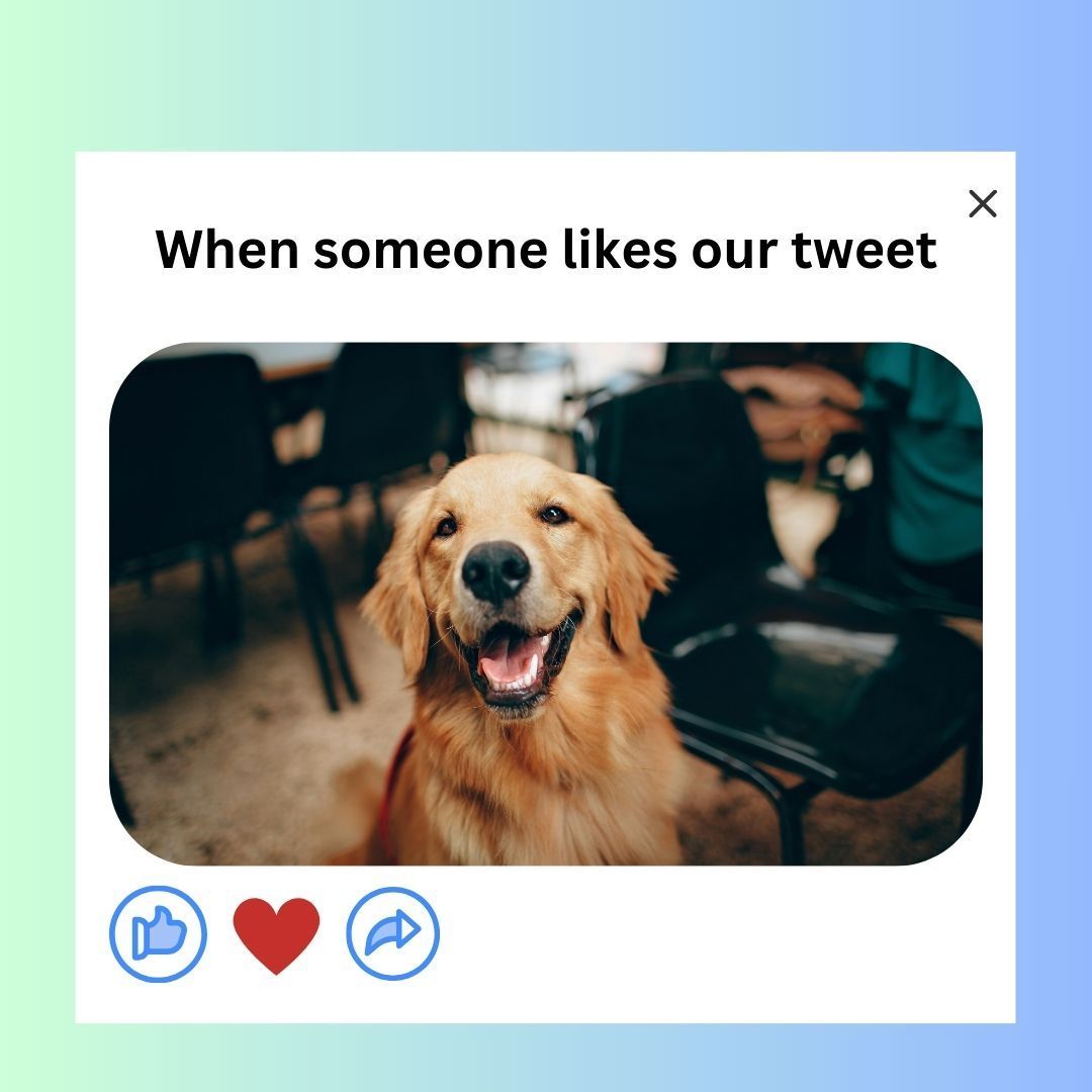 before_camera's tweet photo. Your like = Our Happy Face! 😊🐶❤️ 
#FeelGood #theworldbeforecamera https://t.co/EEfc6HDmeT