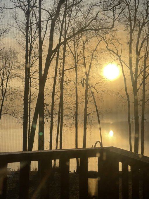 With mom&rsquo;s help, we caught us some dinner right in the back yard! And I got us a good harvest from the