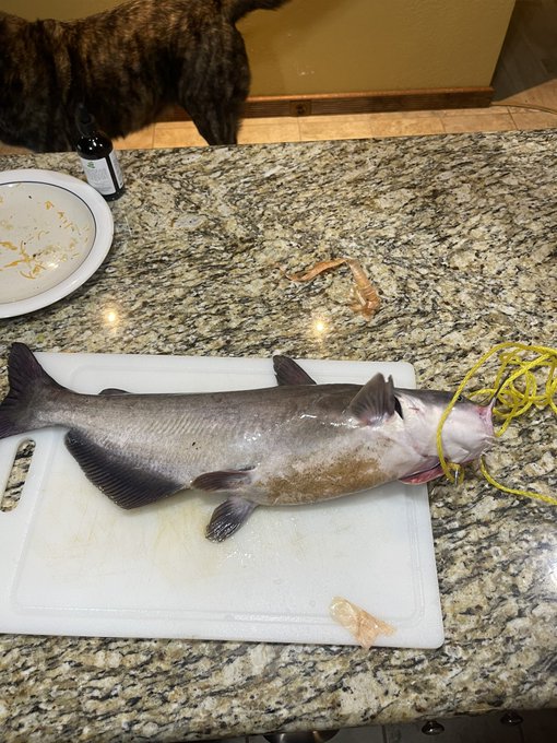 With mom&rsquo;s help, we caught us some dinner right in the back yard! And I got us a good harvest from the