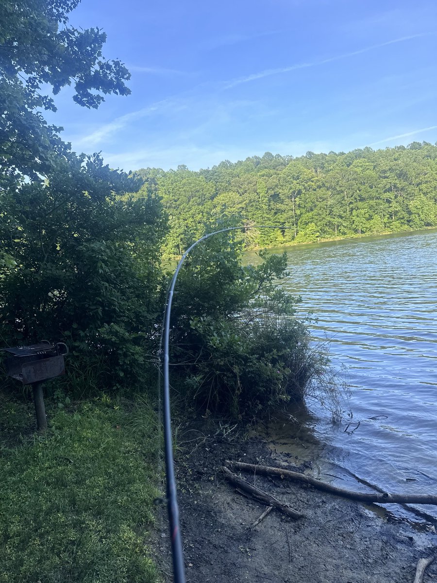 goldskimask's tweet photo. random side quest of the summer https://t.co/VpEDa5zLaN