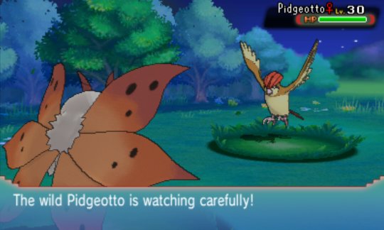 expo_pkmn's tweet image. ORAS Safari Zone Restoration v1.0 is live!

- Pokemon flee 50% of the time
- Dexnav Foreigns are encounterable through RE
- More details in the readme...

#SafariWeek2024 #SafariWeek #ShinyPokemon