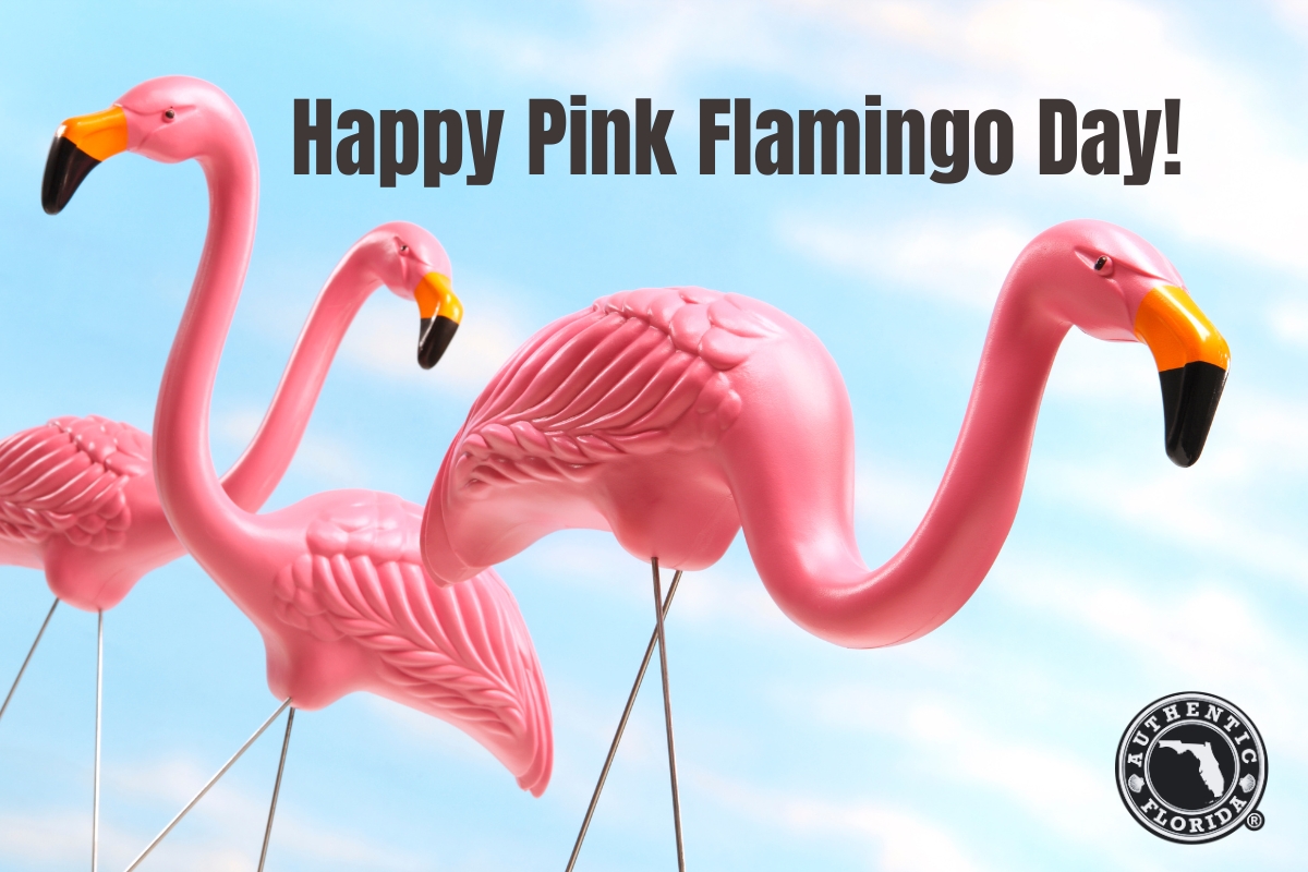 🌸🦩 Happy Pink Flamingo Day! 🦩🌸

Do you have these fabulous lawn ornaments in your yard? Show us your flamingo flair! Share your photos below, &amp; let's flood our feed with these feathery friends.

#PinkFlamingoDay #AuthenticFlorida #FlamingoFever 📸🌴