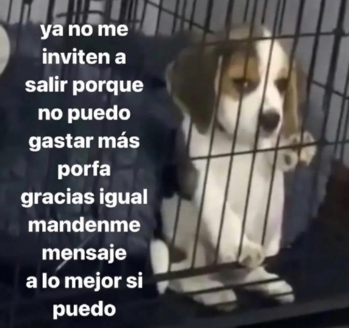soyMargarlto's tweet photo. Por fa https://t.co/qaisxa5Qro