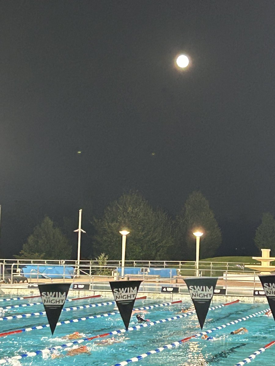 Moonlit swim #SwimTheNight