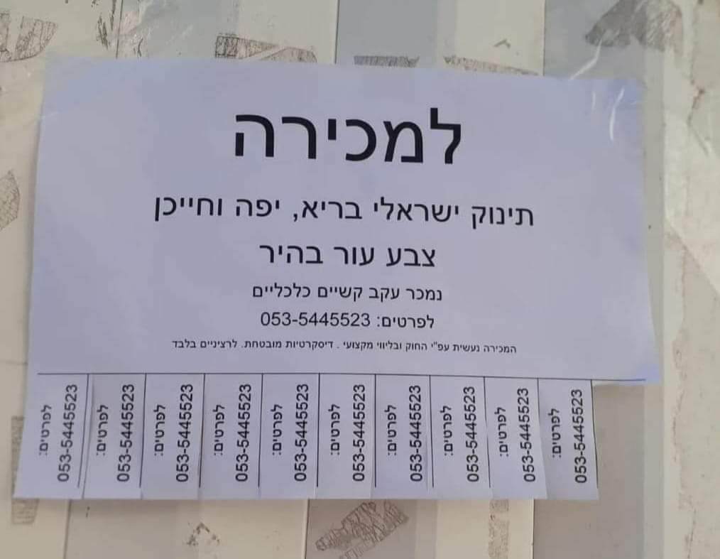 dorzach 🇬🇶 tweet media