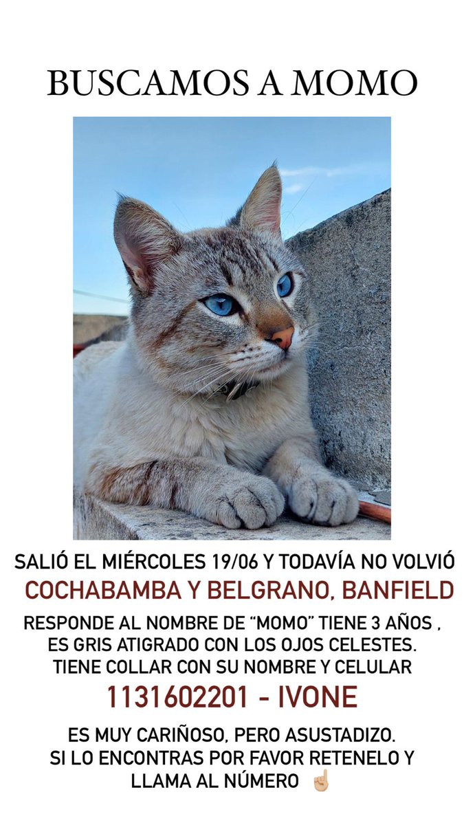 andysefue's tweet photo. #Banfield https://t.co/nZXAF1ex7w