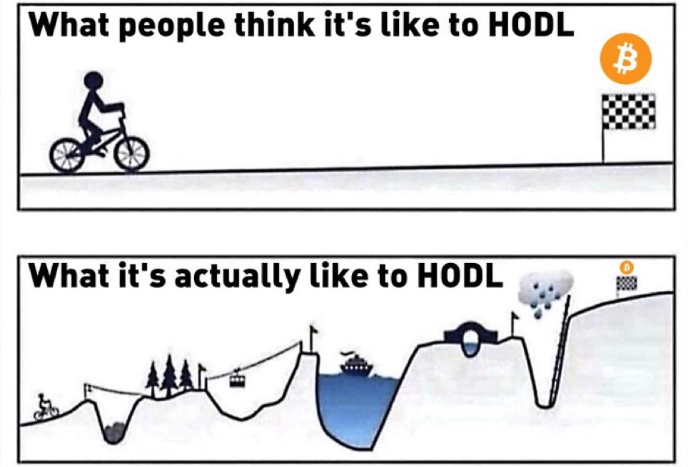 HODL ✊