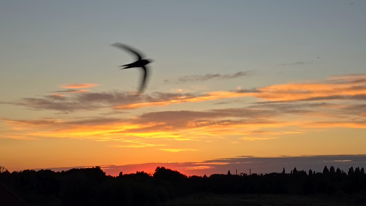 Tadek_8's tweet image. Na horyzoncie 
#Szczecin #sunset #jerzyk