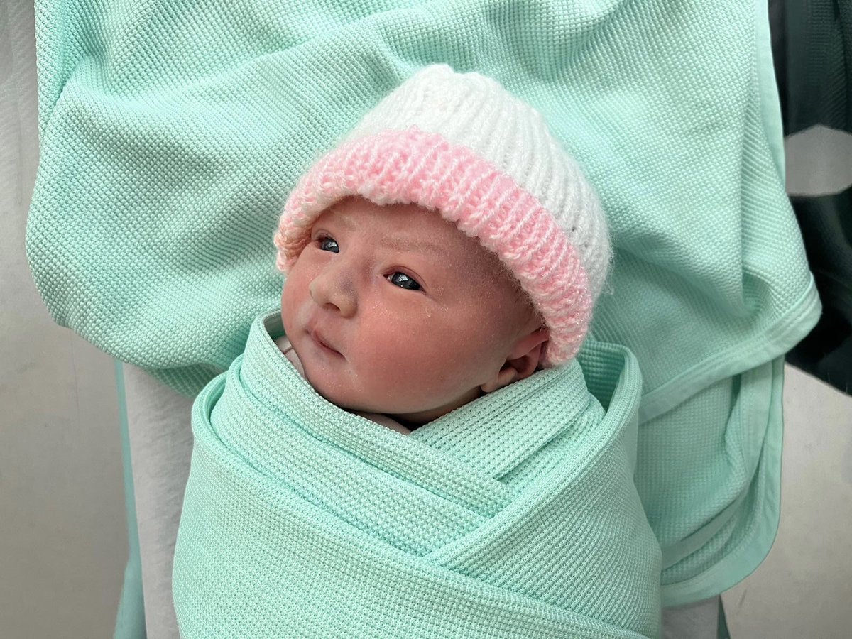 Melanie Higgins tweet media