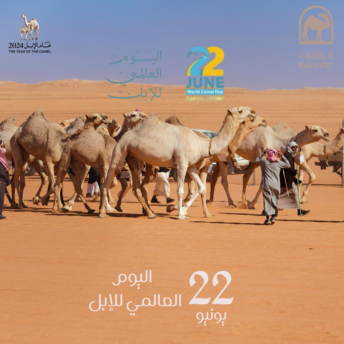 نهنئ كل ملاك ومحبي الإبل حول العام🎉👏🏻
بمناسبة #اليوم_العالمي_للإبل 🐪
22 June 
من كل عام
 الذي يحلّ علينا هذه السنة في عام استثنائي حيث سمي عام 2024 م في السعودية #عام_الإبل
تقديراً للمكانة الفريدة للإبل في قلوب أبناء شبه الجزيرة العربية و وجدانهم منذ فجر التاريخ و حتى اليوم