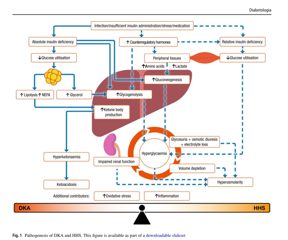 Georgios Kyriakos tweet media