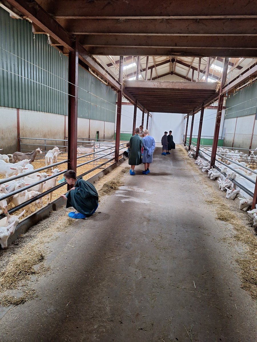 Vandaag weer kinderen ontvangen op ons bedrijf vanwege #roefeldag2024