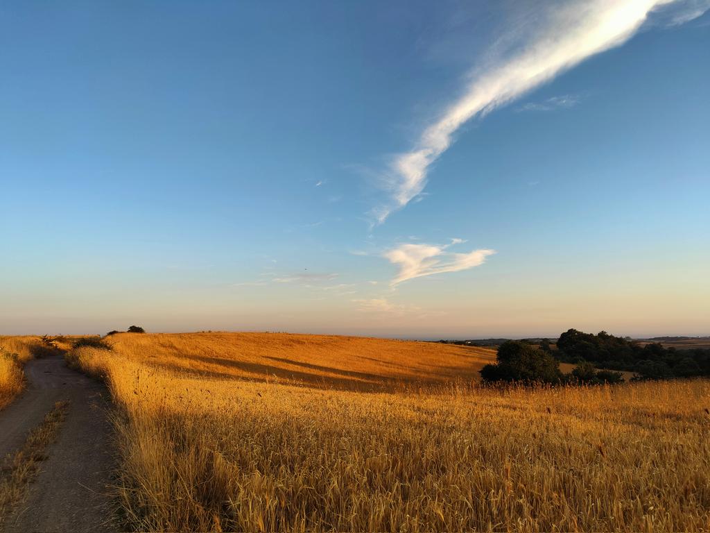 agowitter's tweet image. Light of the evening @ThePhotoHour @StormHour