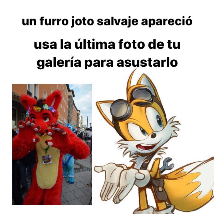 ☆ 𝒉𝒂𝒔𝒔𝒂𝒏 ☆ tweet media