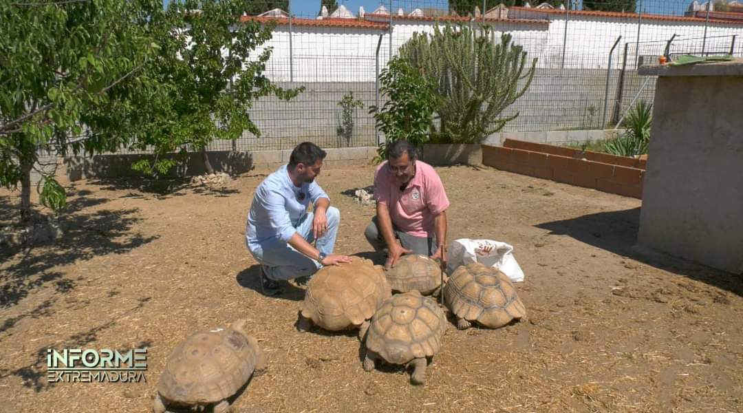 Informe Extremadura tweet media