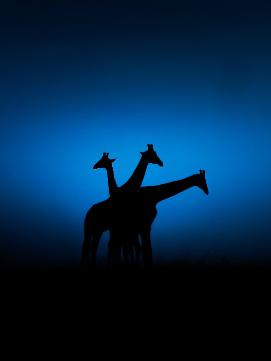 3 Bodies 1 Soul

And no, it’s not from AI.