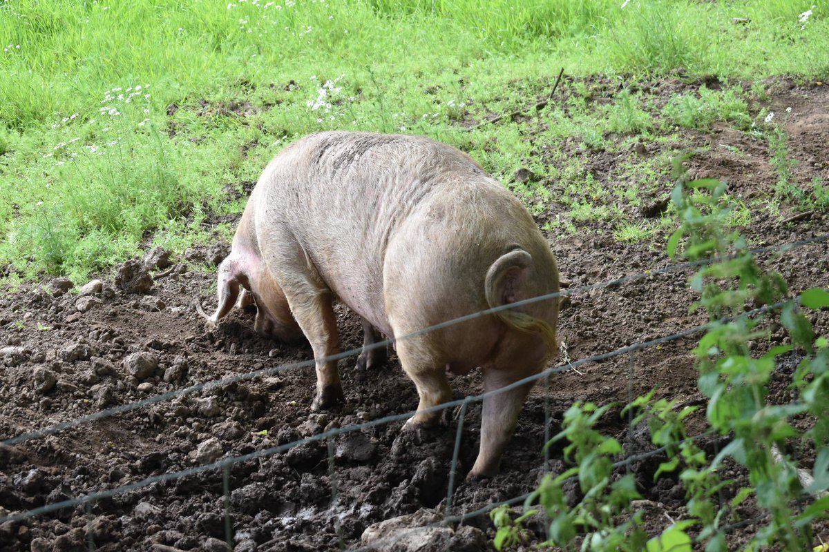 What’s the literary reference?