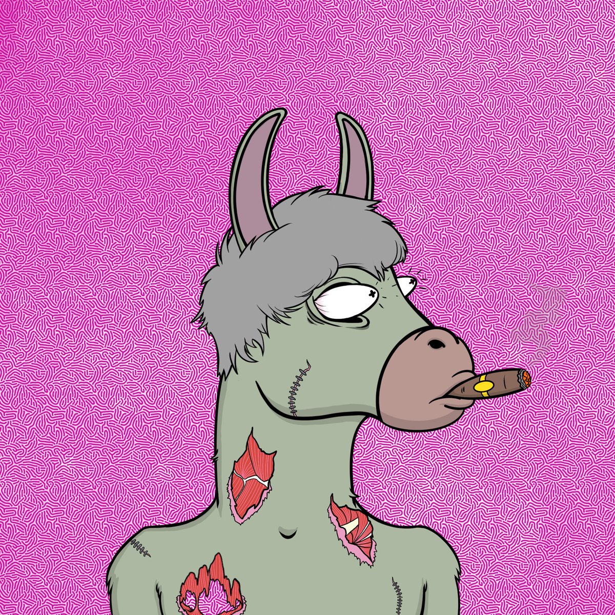 Flunk Donkey CC | 🐴6️⃣9️⃣ tweet media