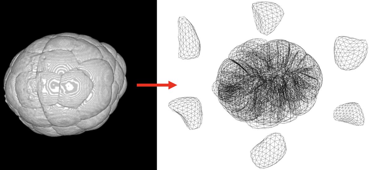 dokmegang's tweet image. (3/7) (ii) capture the parts of the dynamics of the image process by embracing the shape of segmented objects within the system through time
#bioimaging #bioimages #ComputationalGeometry