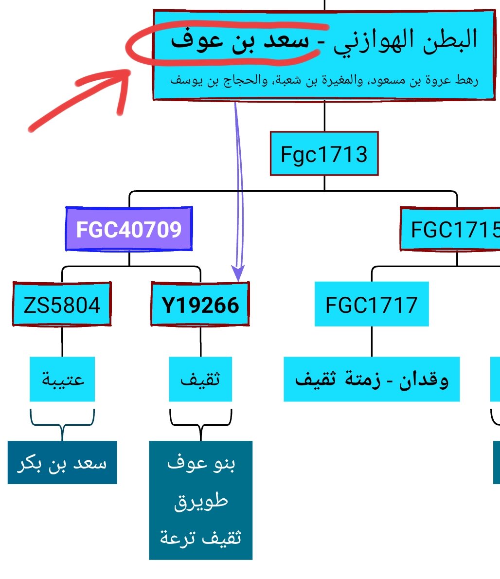 التقاء طويرق وبني عوف بعمر جاهلي 
مع ثقيف ترعة - بني يوسف 
( ١٥٥٠ سنة )

١- رسخ الثقفية بشكل قطعي
٢- الجميع من عوف 'البطن الجاهلي'
المحتفظ باسمه القديم
٣-  أعتقد أن 'بني غيرة' هم البطن الثقفي 
على FGC7944 ولا أجزم 
لكن هناك قرائن
 
#FGC1713
#ثقيف