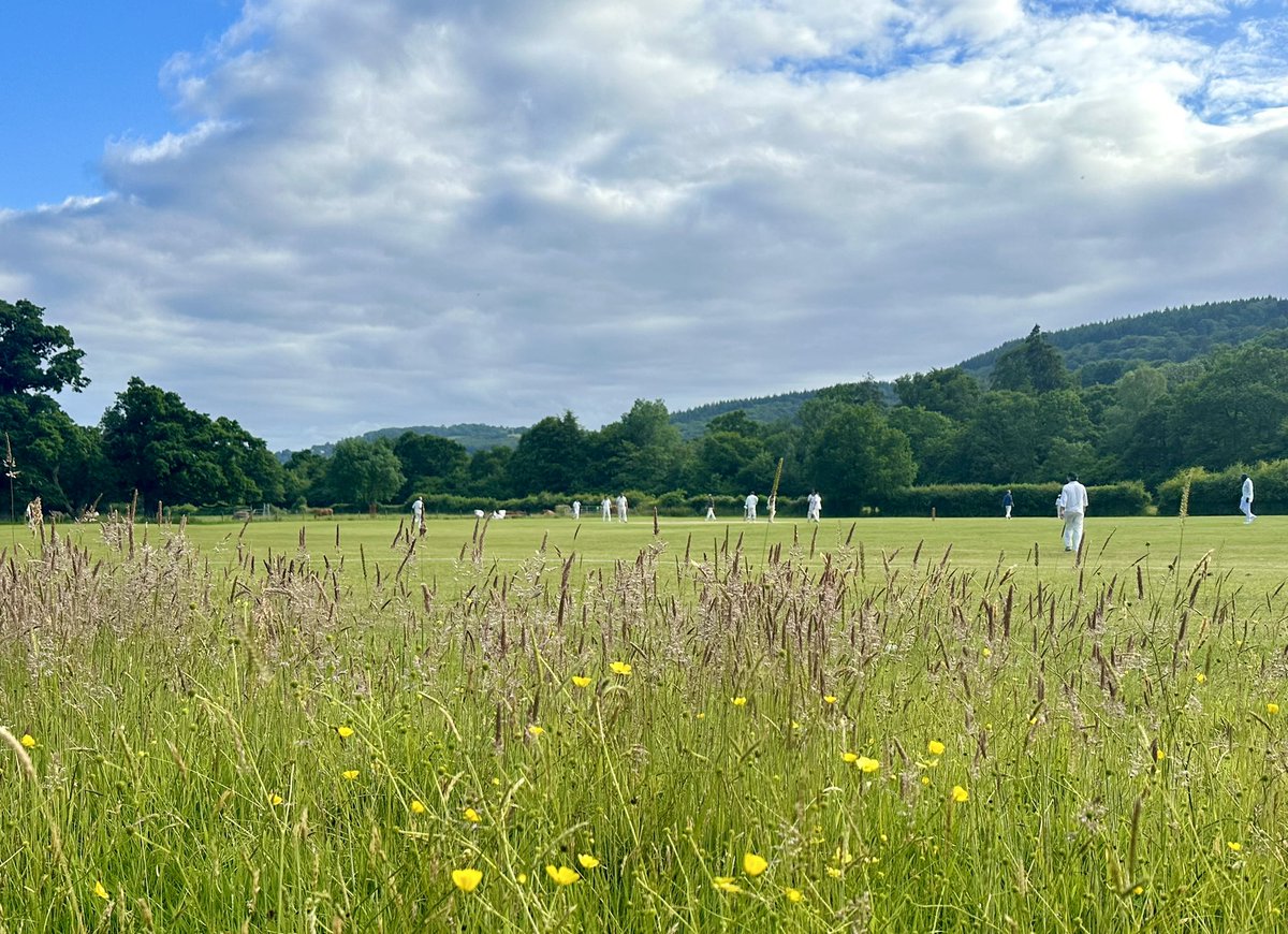 Annie Chave tweet media