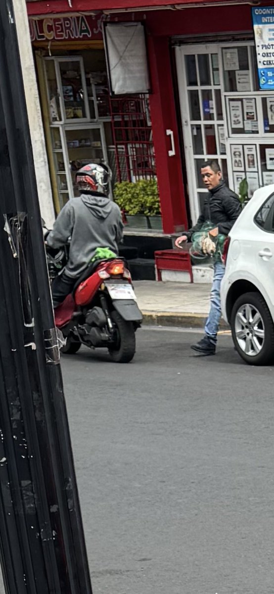 Este par de…. Andan por al colonia cazando palomas. Tenerlos vigilados
