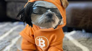 Crypto Era (@candlemegreen) on Twitter photo <a href="/digitalartchick/">artchick.eth/acc 🔥👠</a> There's a new kid on the block $BABU taking over pump
HL5fo8wbeaqHPLYVeyKz9GutzbjMChmnHuoiMa4mpump <a href="/digitalartchick/">artchick.eth/acc 🔥👠</a> There's a new kid on the block $BABU taking over pump
HL5fo8wbeaqHPLYVeyKz9GutzbjMChmnHuoiMa4mpump