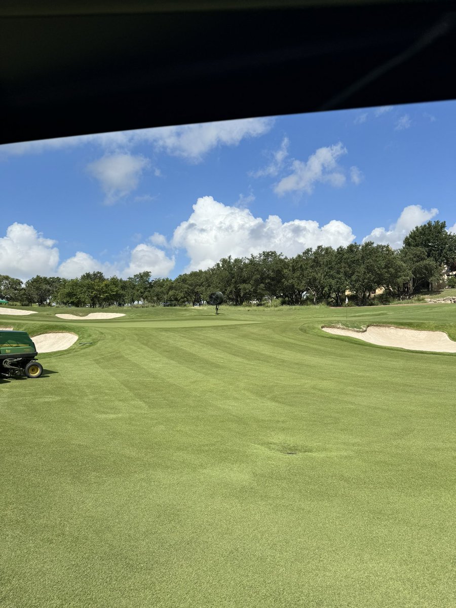 Bentgrass and Zoysia both shining this weekend after a rare rain event.