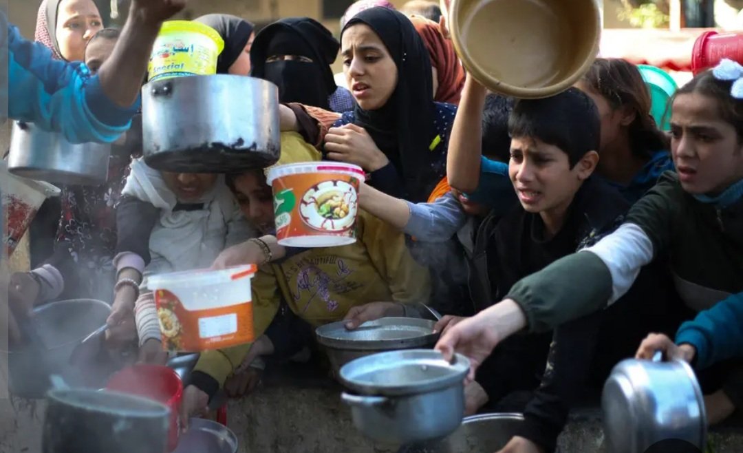 Redrooz2014's tweet photo. فعلو الهاشتاگ بكل اللغات!!
#سياسة_تجويع...
#أنقدوا_شمال_غزة 
#Starvation_politics...
#Save_North_Gaza 
#Famine_in_North_Gaza
#الجوع_منتشر_في_شمال_غزة https://t.co/HchCzIL5SR