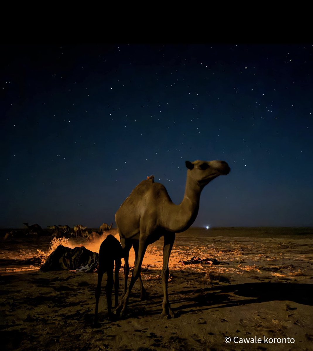 Tanade23's tweet image. Nugaal, Puntland 🇸🇴