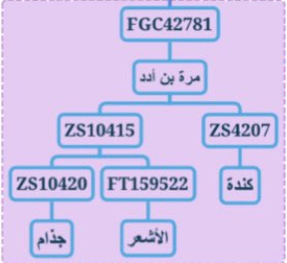 الخارطة الحرارية لجغرافيا التحور 
J-FGC42781 
المنحدر من FT350914 من FGC4415. مرفق مشجرة مبسطه للتحور.