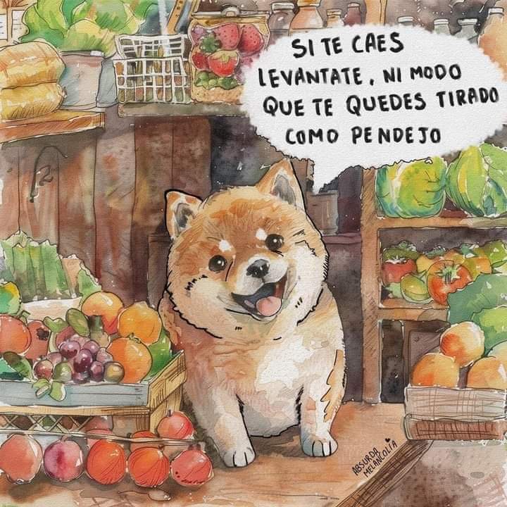 Absurda Melancolía (@absurdamela) on Twitter photo 