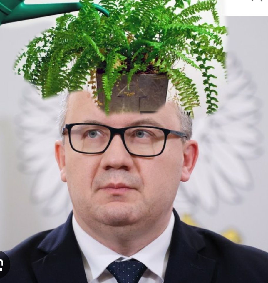 alojjola's tweet image. Co myślicie o polskich sądach?

#Paprotka #Bodnar #sądy