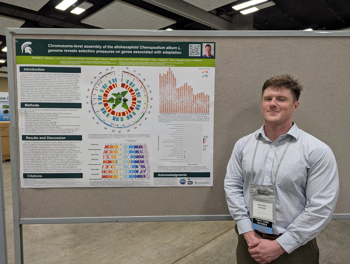 Nick Johnson (@skrumpis) on Twitter photo Super thrilled to be attending my first 
<a href="/ASPB/">ASPB</a> meeting thanks to support by #AG2PI and <a href="/nrt_impacts/">IMPACTS</a>! Check out my poster (3rd row, front right of poster hall) about comparative genomics approaches for finding adaptive patterns in polyploid plants 😁 #PlantBio2024 #ASPB #Aloha Super thrilled to be attending my first 
<a href="/ASPB/">ASPB</a> meeting thanks to support by #AG2PI and <a href="/nrt_impacts/">IMPACTS</a>! Check out my poster (3rd row, front right of poster hall) about comparative genomics approaches for finding adaptive patterns in polyploid plants 😁 #PlantBio2024 #ASPB #Aloha