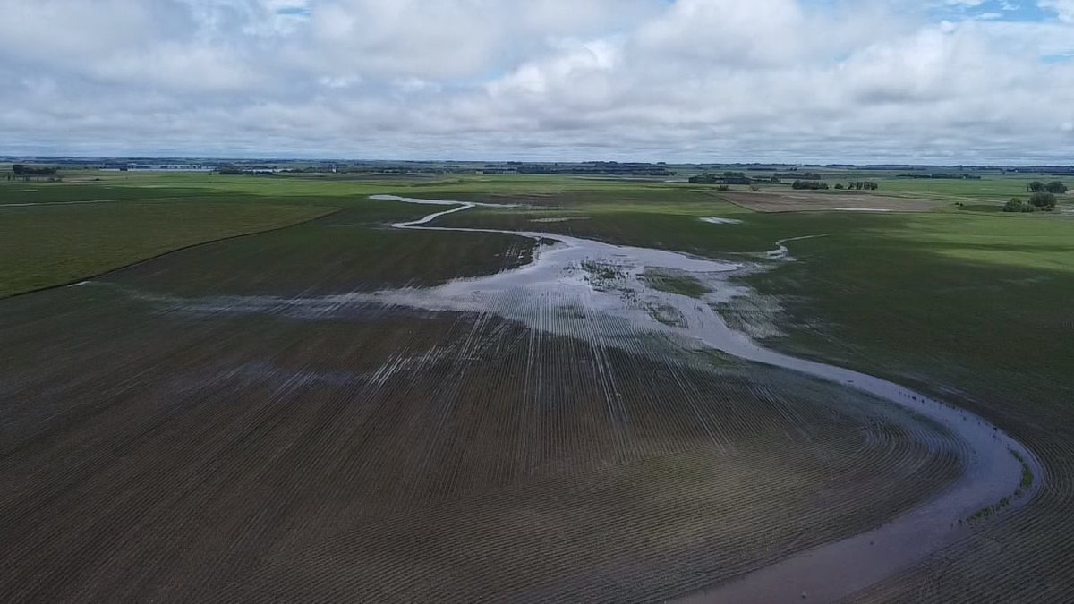 RRolsma's tweet photo. “Rain makes grain” 🙃 https://t.co/lVN16sw96Y