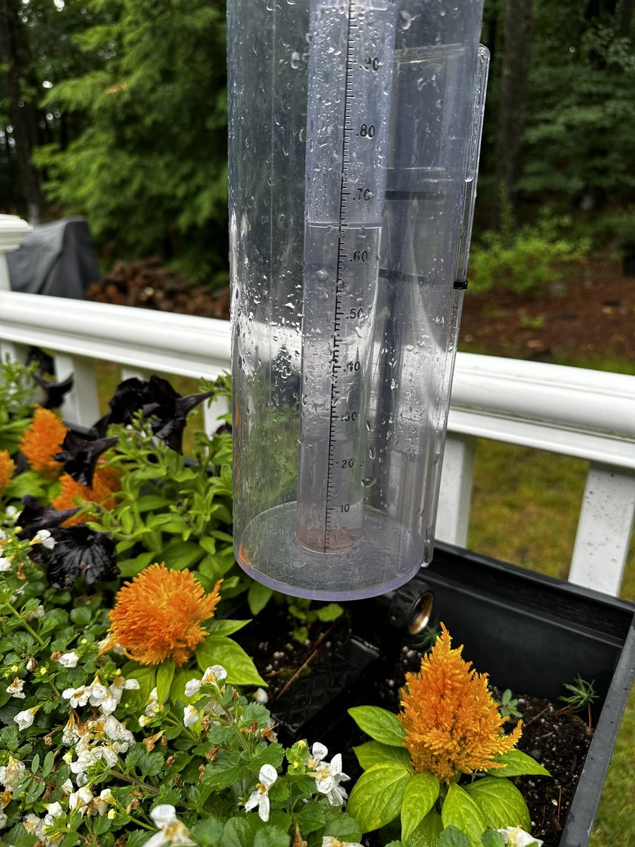 6.22.24…Sturbridge dodged another bullet 🙏🏻.. 0.65” as of 6:05pm. Couple rumbles of thunder and 1 flash of lightening. Very little wind. Spotter ID  22-184. <a href="/Eweather13/">eweather</a> <a href="/ericfisher/">Eric Fisher</a> <a href="/DHTheWeatherNut/">Western Mass Weather</a> <a href="/MA_CoCoRaHS/">MA CoCoRaHS</a> <a href="/WX1BOX/">SNE Amateur Radio Skywarn</a>