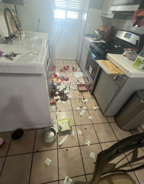 _Finnish_'s tweet image. I don’t know why I bother to cook anymore, I was trying to make lunch and it ended up like this. Today was terrible. 🙄