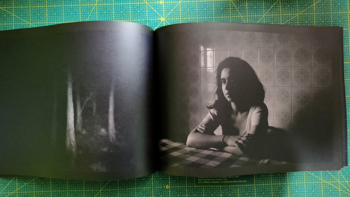 Mañana presentaré la Maqueta Letargo en Fiebre
#lacasaencendida #cosecha #fiebrephotobook