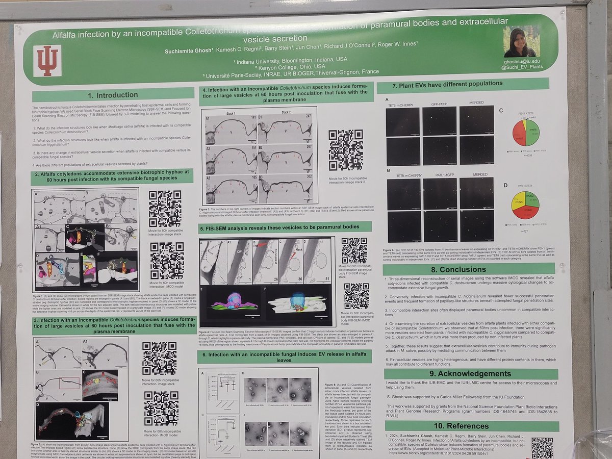 Are you interested in seeing how plants interact with Fungus in 3D? Come check out the poster,  300-69, scan the qr code and watch the movies of plant-fungal intercations as it happens inside the plant cell 
#ASPB2024 
#PLANTBIO