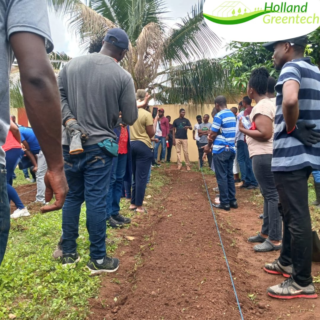 HGTGhana's tweet photo. The practical session entailed making nurseries, land preparation, irrigation setup and laying of mulch. Participants had the opportunity to interact with experts in the field while celebrating the beauty of our farm-fresh quality.
#hollandgreentechghana
#defarmacist https://t.co/27wzzs0ln8