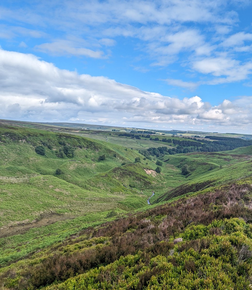 baslovia's tweet image. 16km hike starting from Langsett reservoir with great views ranging towards Leeds today, followed by an 8km run. If I don't sleep tonight there's something seriously wrong.