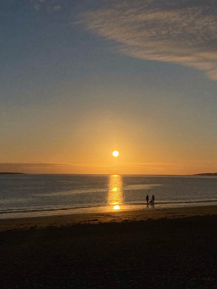 Patricia Volk RWA FRSS tweet media