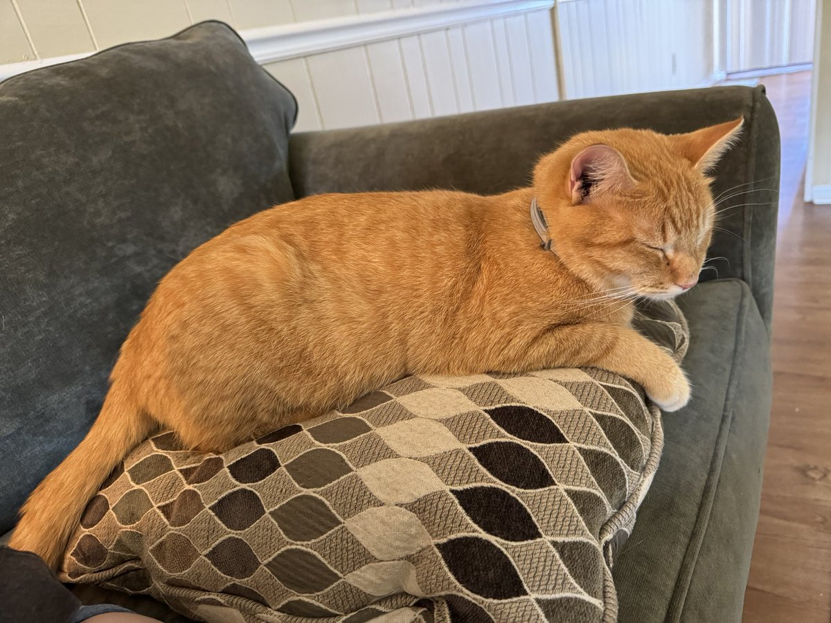 jas ⭐️ tweet media